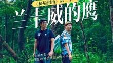 聪明机智问答网-寻找智慧答案 | 地𥔵场的强弱受什么影响?咨询