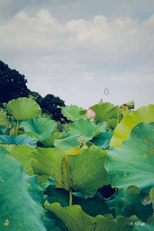 好医生在线咨询免费游戏画面