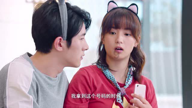 十三届镇平县委第八轮巡察完成反馈