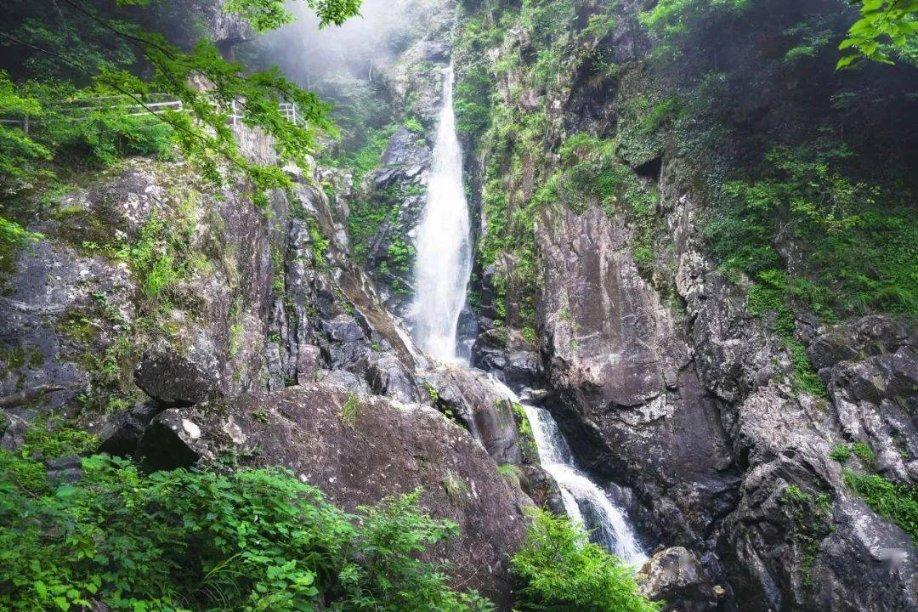 沪江开心词场
