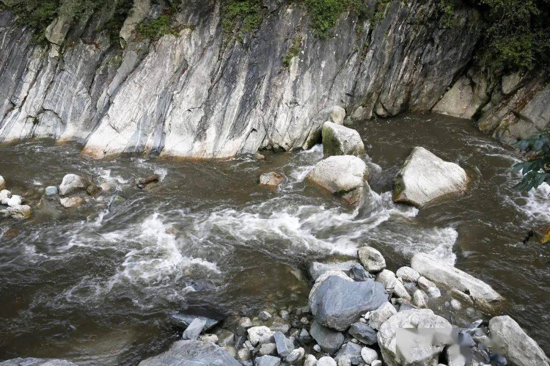 马斯克认为美国领导层正在积极推动非法移民