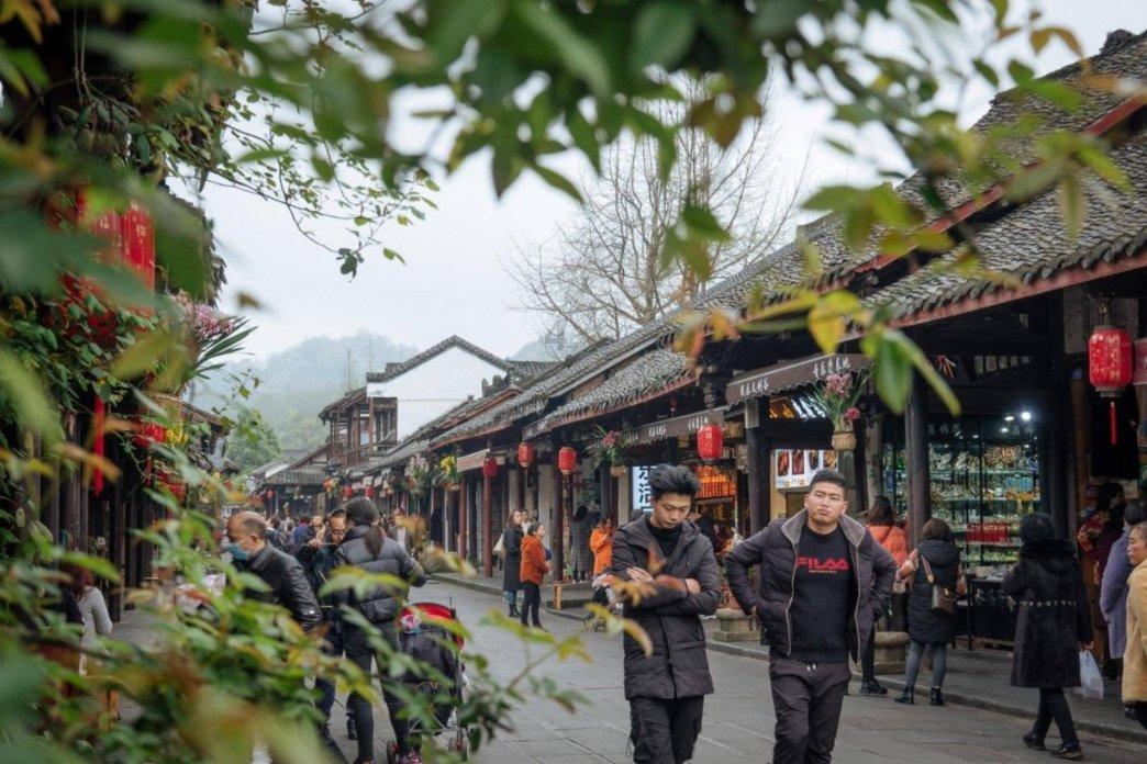 地黄的市场价格、地黄的产地分布、地黄的加工炮制
